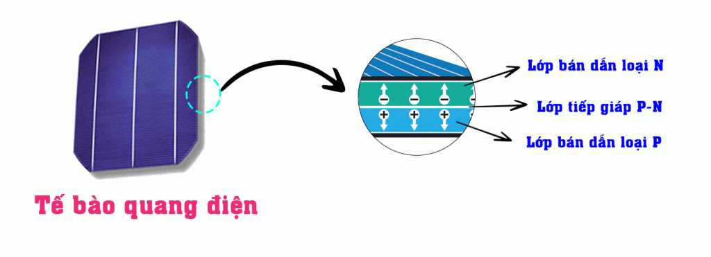 Nhiều tế bào quang điện cấu thành nên tấm pin năng lượng mặt trời
