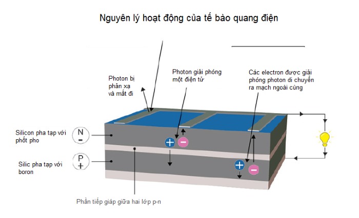 Cách hoạt động của tế bào quang điện