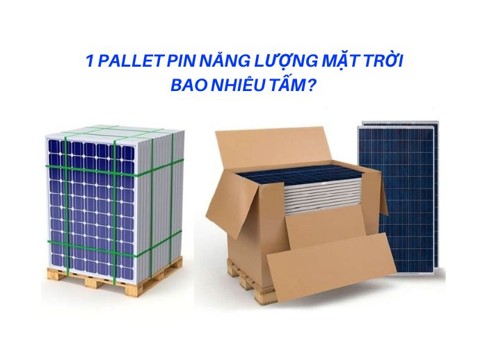 1 pallet pin năng lượng mặt trời thường chứa khoảng 30-31 tấm pin tùy vào kích thước tấm pin và pallet