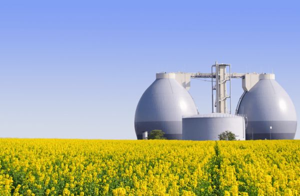 Năng lượng sinh khối cũng tạo ra điện năng rất hiệu quả