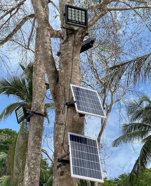 Đèn năng lượng mặt trời Philips có giá thành ổn định