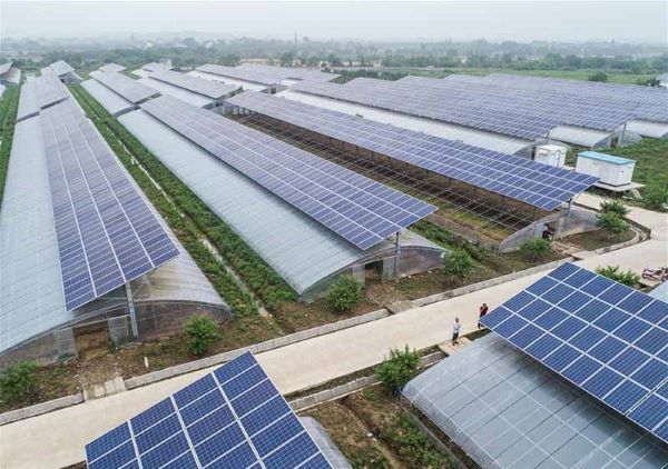 Những lợi ích tuyệt với khi kết hợp điện mặt trời với nông nghiệp